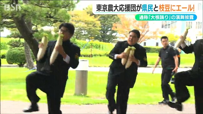 『大根踊り』で『枝豆』を応援　東京農大の応援団が新潟県庁前でエール|TBS NEWS DIG