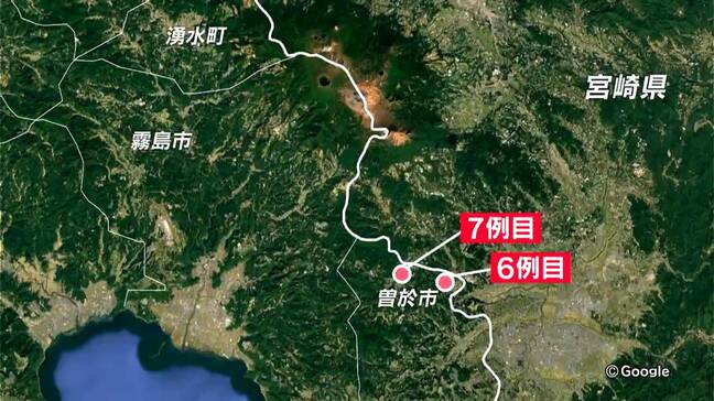 「豚熱発生リスク高まる」曽於市で初 鹿児島県内7例目の野生イノシシ豚熱|TBS NEWS DIG