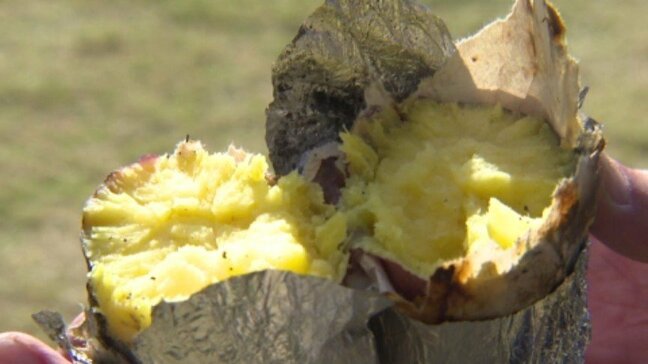 幼稚園で園児たちが収穫したサツマイモで焼き芋パーティーを開催 愛媛・松山市|TBS NEWS DIG