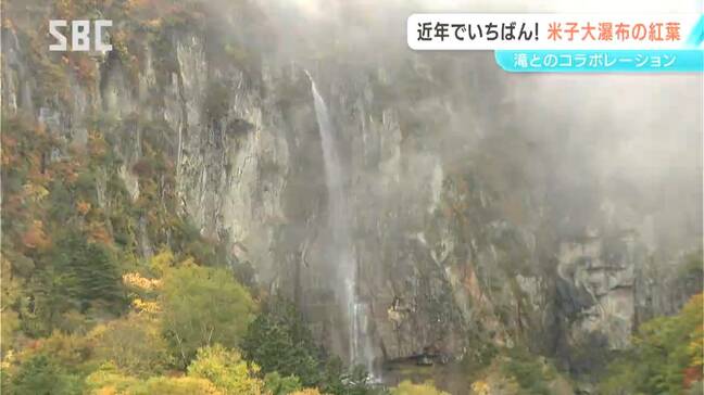 「ここ数年で一番の色づき」須坂市の米子大瀑布で紅葉が見ごろ 滝と紅葉のコラボレーション 長野|TBS NEWS DIG