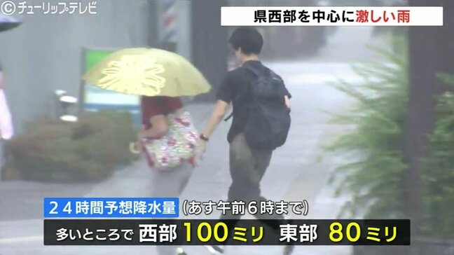 富山県西部に一時大雨警報 氷見で1時間に30ミリ超の激しい雨も 浸水や土砂災害に注意|TBS NEWS DIG