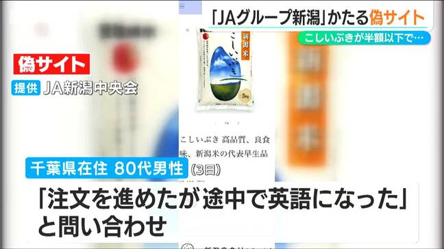 「悪質なことやるのは憤りを感じる」JAグループ新潟を騙る偽サイトを確認 『新潟米こしいぶき』が“半額以下”で…|TBS NEWS DIG