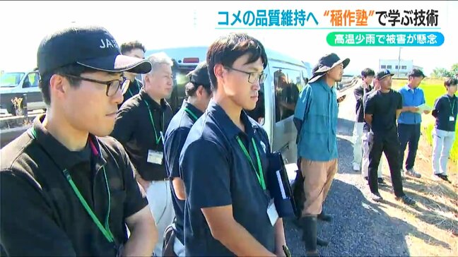 「猛暑と少雨に負けないコメづくりを」　経験浅い生産者対象に『稲作塾』新潟|TBS NEWS DIG