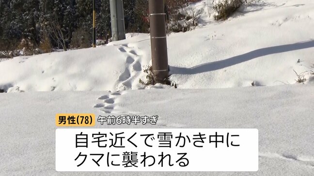 「まさかここまで降っているとは…」真冬並みの最強寒気で日本各地に大雪　雪かき中に“クマ被害”も|TBS NEWS DIG