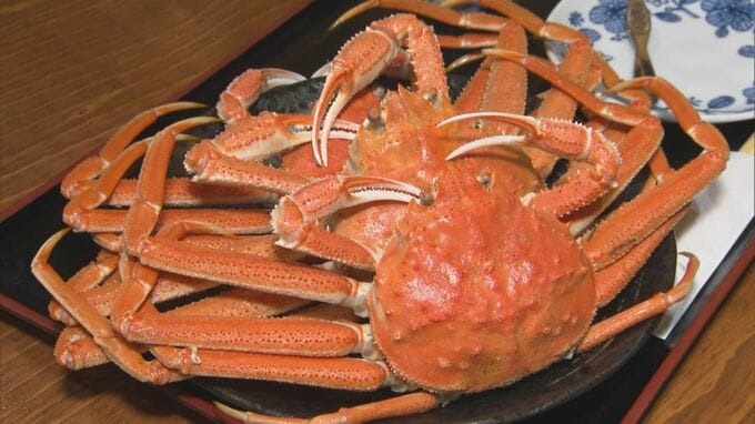 大量発生「オオズワイガニ」は美味？　1杯150円→500円に急騰　カニどころ鳥取のプロが食べて確かめた　「松葉がに」と似ている？　|　BSSニュース | BSS山陰放送
