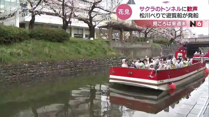 史上最も早い開花予想 富山の桜の名所 松川で遊覧船 見ごろは来週末 　|　富山のニュース｜天気・防災｜チューリップテレビ
