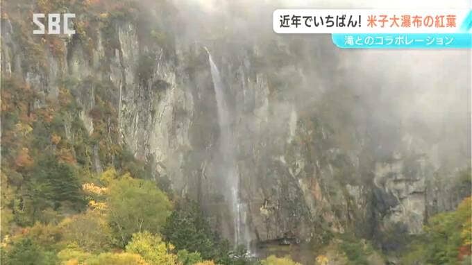 「ここ数年で一番の色づき」須坂市の米子大瀑布で紅葉が見ごろ　滝と紅葉のコラボレーション　長野　|　SBC NEWS | 長野のニュース | SBC信越放送