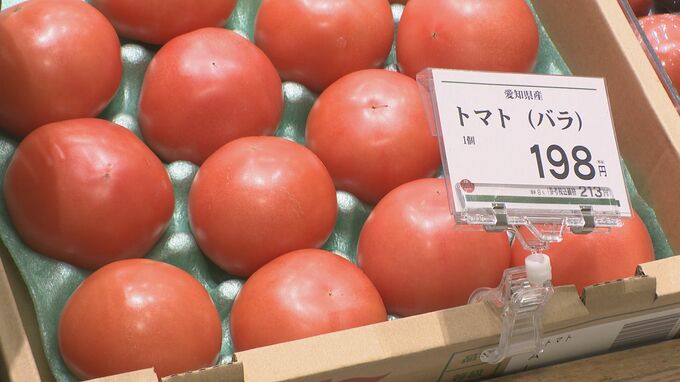 【野菜高騰】2月は「はくさい・キャベツ・玉ねぎ・トマト」が平年より高値　代わりにカット野菜が人気　|　石川県のニュース｜MRO北陸放送