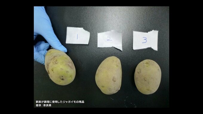 「ジャガイモによる食中毒」が奈良県で発生　国内では2年ぶりの公式確認　ポトフ食べた家族が喉の違和感や吐き気　重症者はなし　加熱予防が効かない有毒成分「ソラニン類」に注意　|　MBSニュース | 関西の最新ニュースを分かりやすく。