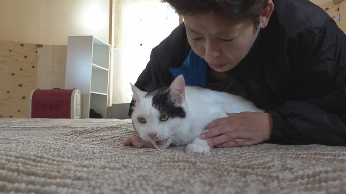 避難所に“入らない”人たち「自分よりペットの心配が多い」ペット同伴で過ごせる避難所が完成　|　石川県のニュース｜MRO北陸放送