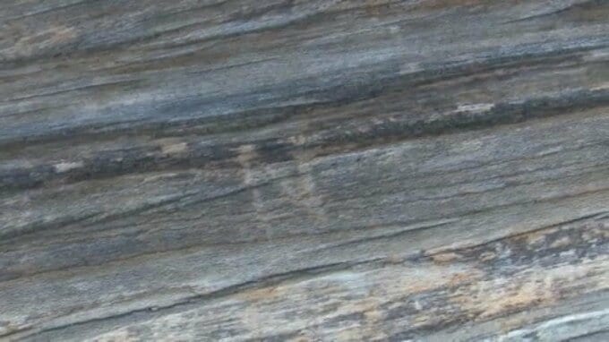 「到底許されない」宇和島城に「N」の刻み文字　現存天守の被害に市長が遺憾の意|TBS NEWS DIG