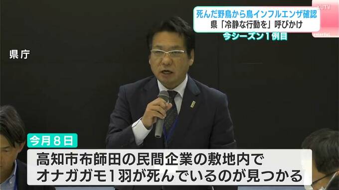死んでいた野鳥から「鳥インフルエンザウイルス」検出　野鳥からの検出は今季1例目、「死んだ野鳥を見かけたら一報を」　|　高知のニュース・天気｜KUTV NEWS | KUTVテレビ高知
