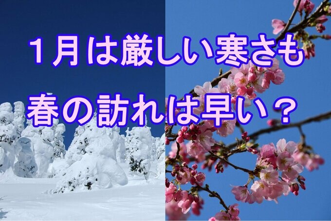 【気象庁・3か月予報】1月は厳しい寒さ続き「日本海側は大雪注意」3月は気温上昇「春の訪れやサクラの開花」早い可能性　tbc気象台|TBS NEWS DIG