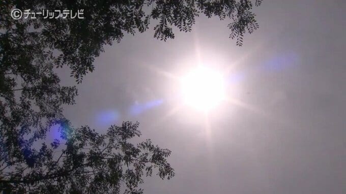 高気圧に覆われ午後も気温上昇　30℃以上の“真夏日”を予想　富山　|　富山のニュース｜天気・防災｜チューリップテレビ