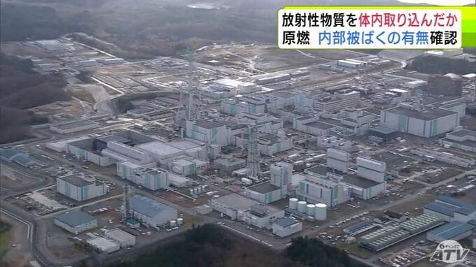 『放射性物質』を体内に取り込んだか 六ヶ所再処理工場で部品の交換作業中だった40代の男性作業員 日本原燃が内部被ばくの有無など確認するため調査|TBS NEWS DIG