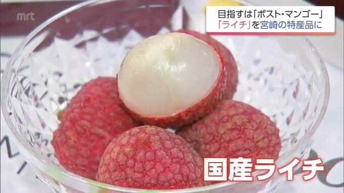 「マンゴーよりもライチやな」　国内流通わずか2％未満の超希少な「生ライチ」を特産品に　関係者の挑戦|TBS NEWS DIG