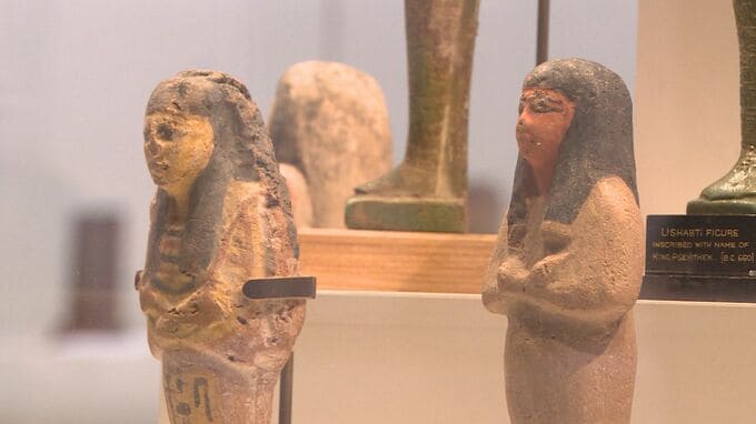 古代エジプトの人々の暮らしを楽しむ…特別展「古代エジプト・ふしぎ発見！」開幕　山口・下関|TBS NEWS DIG