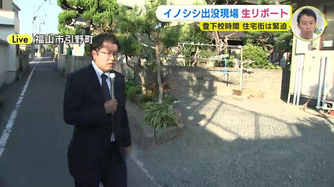 自宅を出てすぐにイノシシに襲われる　20代男性けが　現場は小学校近くの住宅街「もう少しで通学時間帯…」　|　RCC NEWS | 広島ニュース | RCC中国放送