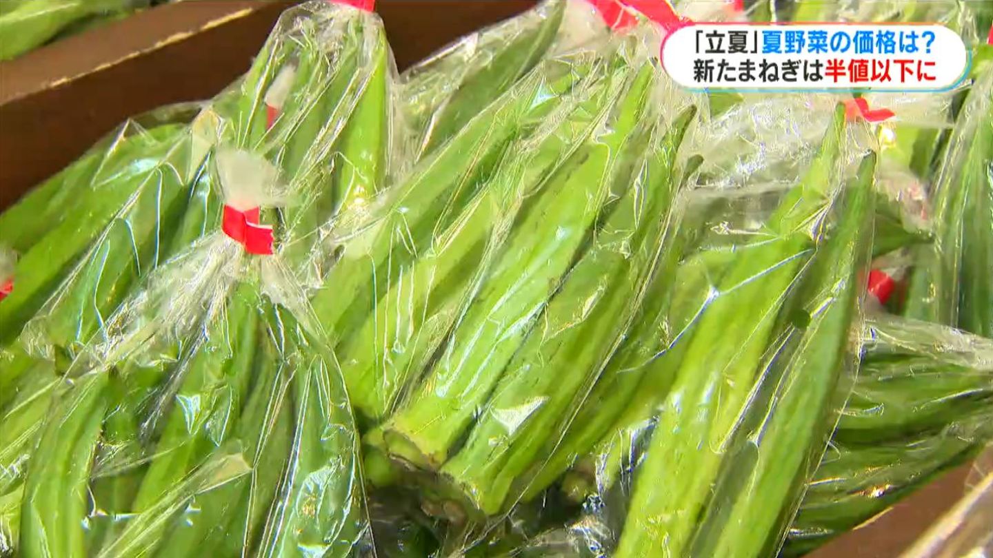 きょう5月5日は立夏 「暑さ」と「物価高」の今年の夏を乗り切る