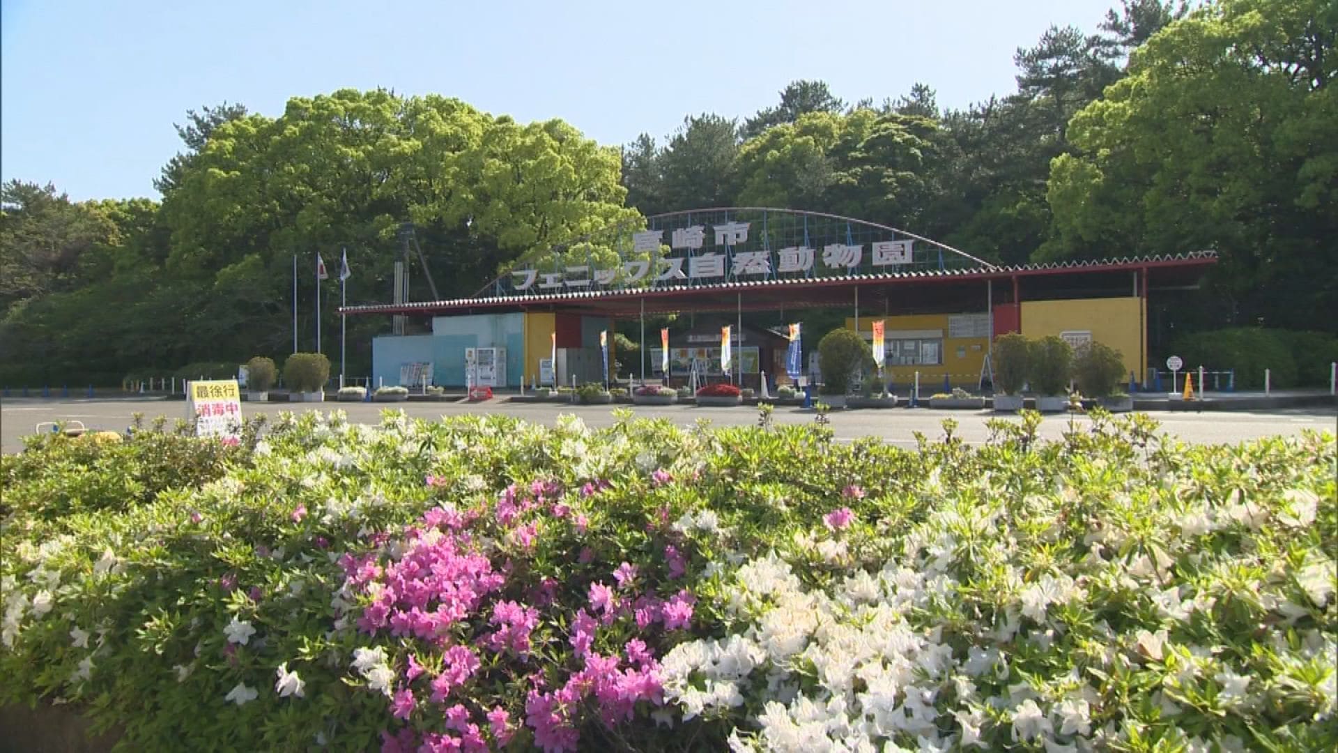 宮崎市フェニックス自然動物園 施設の新名称決定 | MRTニュース
