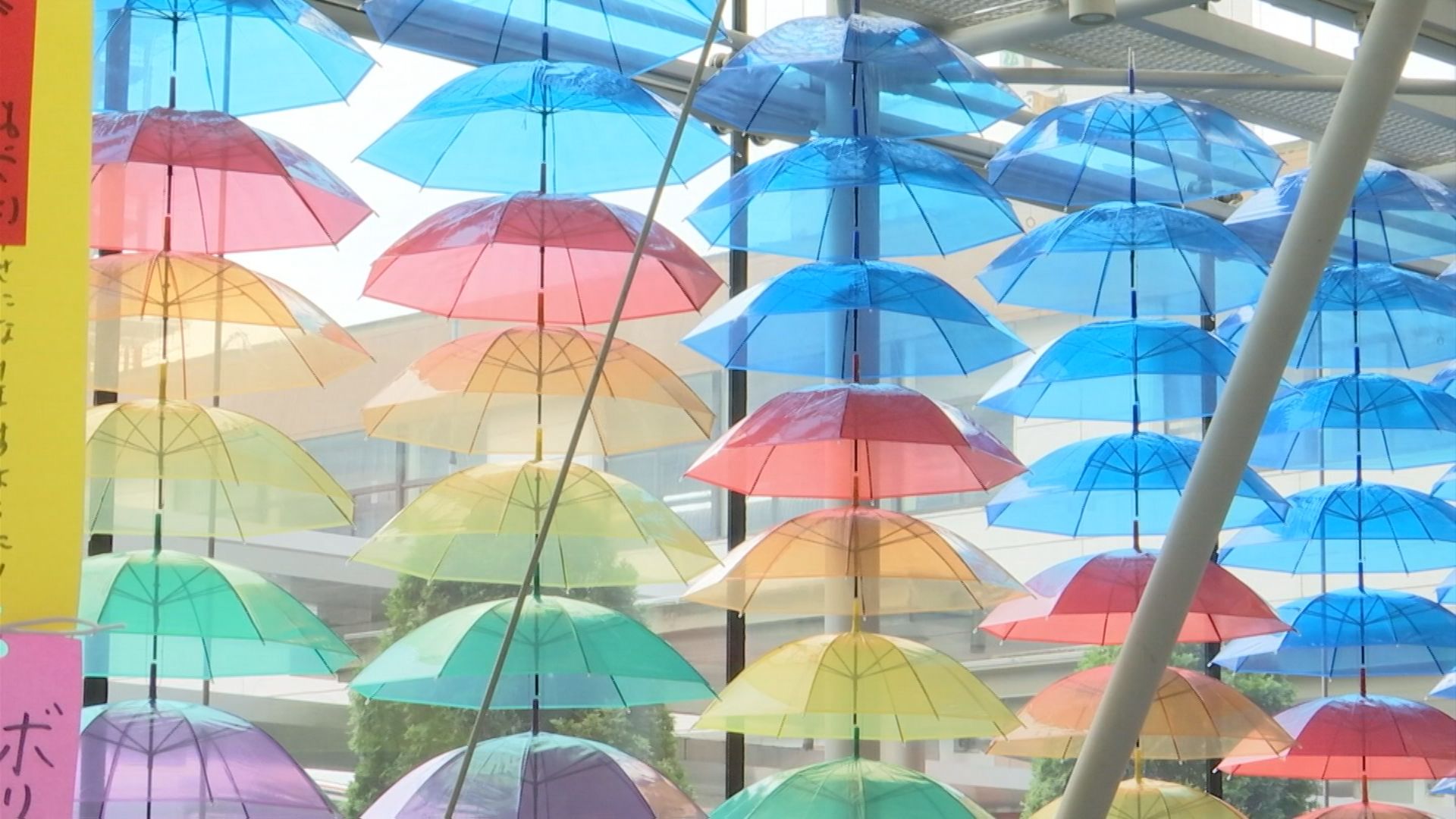 6月1日から松江は縁雫 色とりどりの傘でアンブレラスカイ完成 | BSS