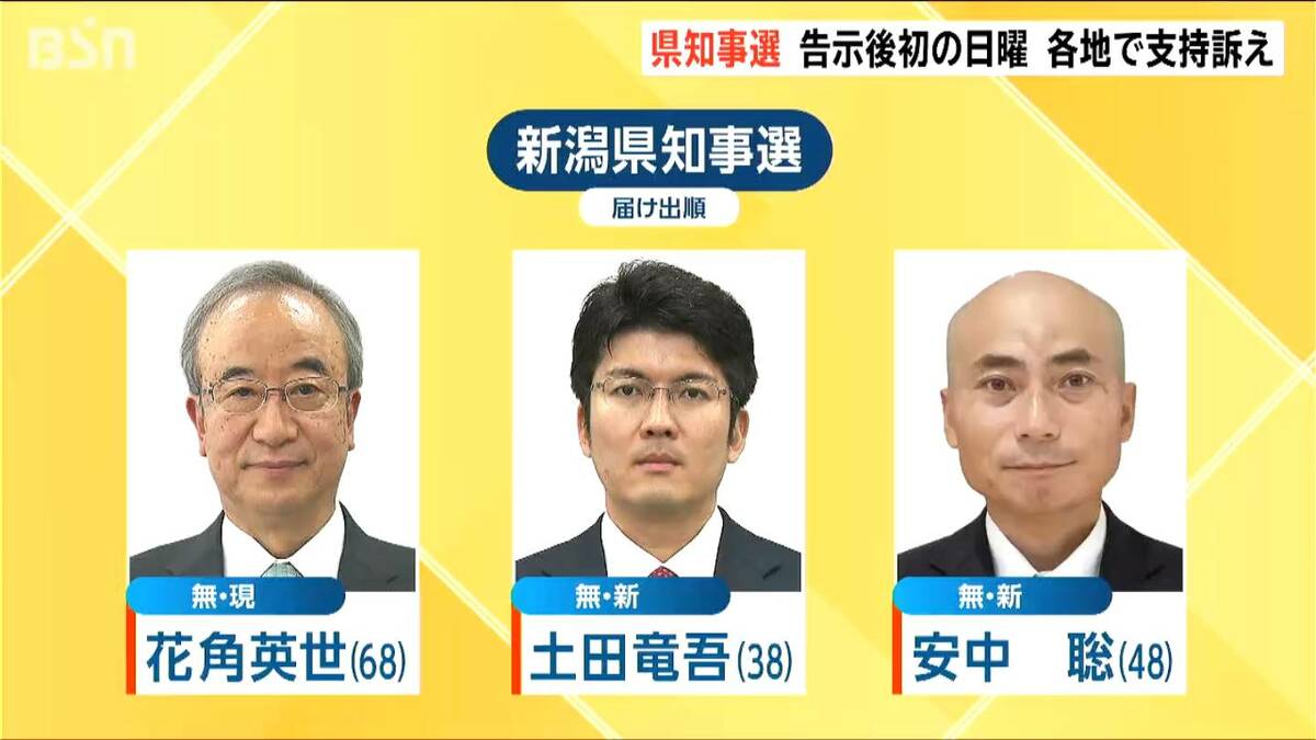 サムネイル_新潟県知事選　告示後初の日曜日で候補者3人が支持訴え