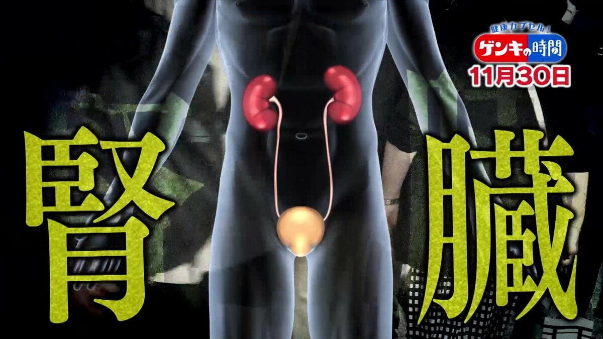 「腎臓」悪くなると“老化”も進む!?…深い関わりが明らかに！衰えを早期発見！腎機能をキープする方法