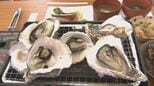 「日豊海岸岩ガキまつり」9日スタート　ぷりぷりで濃厚…佐伯市内9店舗で自慢の料理を提供|TBS NEWS DIG