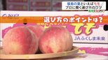 今が旬です!おいしいモモは「産毛」と「果点」をチェック【市場で旬みっけ!】 | 福島のニュース│TUF