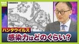 【ハンタウイルス】乗客下船で感染拡大は？新型コロナのような大流行は「現時点では可能性低いが変異に注視」「感染は家族など長時間密接している場合が多い」　渡航医学の専門家解説　|　MBSニュース | 関西の最新ニュースを分かりやすく。