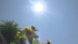 勝沼38.9度で全国2位の暑さ 男性10人が熱中症で搬送 24日は大気の状態が不安定な時間も | 山梨のニュース | UTYテレビ山梨