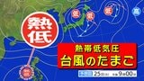 【台風情報】「台風のたまご＝熱帯低気圧」発生 ２４時間以内に『台風』へ【雨風シミュレーション２５日（火）～１２月４日（木）／ 全国各都市の週間予報】気象庁の進路予想  台風情報２０２５|TBS NEWS DIG