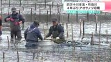 「体が覚えているので収穫楽しい」四万十川支流・竹島川 4年ぶりアオサノリ収穫 | 高知のニュース・天気|KUTV NEWS | KUTVテレビ高知