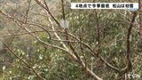 愛媛・松山で初雪観測 18日は今季一番の冷え込みか | 愛媛のニュース - Nスタえひめ|あいテレビは6チャンネル