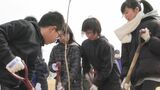 3000本目標に故郷をサクラの名所に この春卒業の小中学生ら参加して植樹 市民有志が初開催 岩手・陸前高田市|TBS NEWS DIG