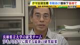 近畿のクマ“秋の主食”はドングリではない！？『液果』というベリー類を食べていることが判明　兵庫県立大のチームが北部の個体群を調査|TBS NEWS DIG
