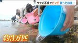 全国の援助で卵を確保した『友情のサケ』去年記録的不漁の三面川で3万匹の稚魚を放流 新潟県村上市|TBS NEWS DIG