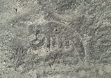 【画像多数】かわいいネコも!?山形大学がナスカの地上絵を新たに248点発見 謎の解明に前進…絵の意味は「メッセージ性」と「物語性」とみて研究を進める | 山形のニュース│TUYテレビユー山形