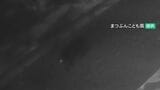 こども園の防犯カメラに親子のクマ… 「唸り声を上げて威嚇してきた」翌日昼に2頭を駆除 福井県で初の緊急猟銃|TBS NEWS DIG