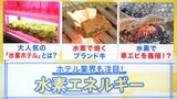 「水素調理」に「水素栽培」…旅館やホテルが続々“水素”を導入するワケとは？【THE TIME,】|TBS NEWS DIG