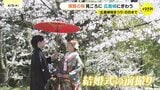 “広島城桜まつり”で祝福ムード「いつまでも仲良く」「女房も最高」夫婦の愛とソメイヨシノ満開 |TBS NEWS DIG