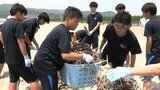 「きれいな海岸作ろう」 海開き前に地元の中学生や市民ら約130人が清掃 ブルーフラッグ取得で作業にも力 岩手・陸前高田市の高田松原海水浴場|TBS NEWS DIG