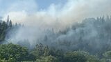 【速報】南部町で山林火災が発生中　「木が何本か燃えている」縦300ｍ・横500ｍの範囲が燃えている状況　県防災ヘリしらかみが上空から消火剤　「林野火災注意報」が発表中　|　青森のニュース│ATV NEWS│青森テレビ