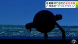 投影できる恒星の数は約6000個→800万個に！　最新機材で大迫力の“星空体験”　八戸市のプラネタリウムがリニューアル|TBS NEWS DIG