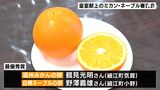 「味もおいしく生産者の熱意が伝わってくる」献上ミカンとネーブルの審査会　20日に皇室へ＝浜松・北区|TBS NEWS DIG