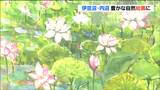 「この絵を通して知ってもらいたい」伊豆沼と内沼の自然豊かな情景を描いた絵画とは 宮城・栗原市 | 宮城のニュース│tbc NEWS│tbc東北放送