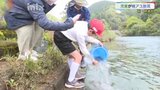 トラックからホースで放流も「ブラックバスと鵜に食われんなよ」小学生が稚アユを放流|TBS NEWS DIG