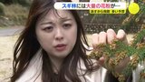春を告げる啓蟄 スギ林には“大量の花粉” がスタンバイ 飛散ピーク目前で「多い」予想続く 縮景園では伝統のコモ外し|TBS NEWS DIG