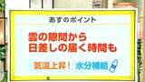 高知の天気 20日 雲の隙間から日差しも 気温は今年初の真夏日か 山岸拓気象予報士が解説 | 高知のニュース・天気|KUTV NEWS | KUTVテレビ高知