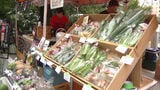 新鮮な九州産野菜やフルーツを販売 秋の「福マルシェ」 新米も登場|TBS NEWS DIG